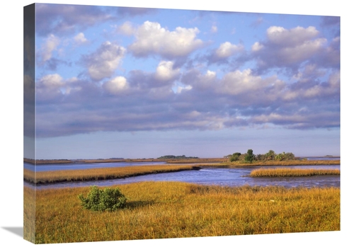 Global Gallery GCS-396103-1824-142 18 x 24 in. Saltwater Marshes at Ce