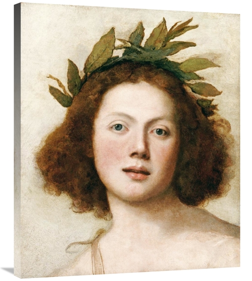 Global Gallery GCS-266328-36-142 36 in. Head of Apollo Art Print - Gir