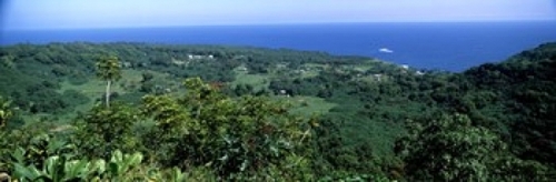 Panoramic Images PPI134409L High angle view of landscape with ocean in