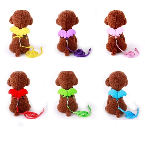 Cute Angel Pet Dog Leashes Collars Set Puppy Leads
