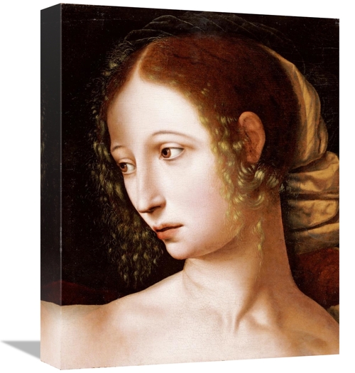 Global Gallery GCS-267496-16-142 16 in. Lucretia - a Fragment Art Prin