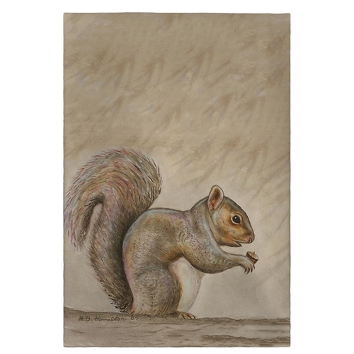 Betsy Drake GT314 Squirrel Guest Towel - 20 x 20 in.