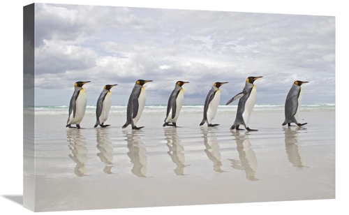 Global Gallery GCS-395353-1624-142 16 x 24 in. King Penguin Group Walk