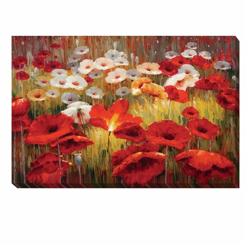 Artistic Home Gallery 2436B762EG Meadow Poppies II by Lucas Santini Pr