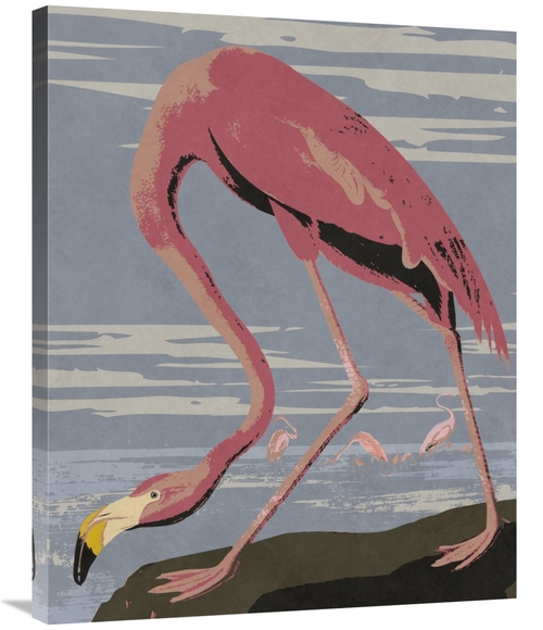 Global Gallery GCS-394760-2835-142 28 x 35 in. Audubon Decor - America