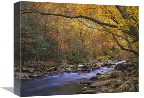 Global Gallery GCS-397091-1216-142 12 x 16 in. Little River Flowing Th