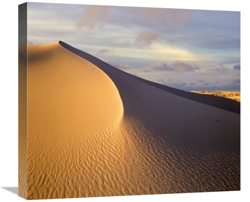 Global Gallery GCS-396372-22-142 22 in. Sand Dune, White Sands Nat