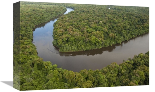 Global Gallery GCS-397927-1218-142 12 x 18 in. Rainforest & Essequibo 