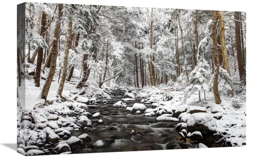 Global Gallery GCS-397597-1624-142 16 x 24 in. Stream in Winter, N