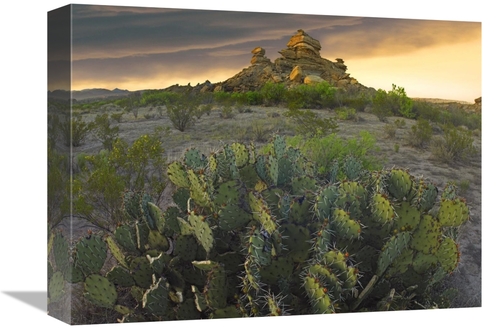 Global Gallery GCS-396771-1216-142 12 x 16 in. Opuntia & Hoodoos, 