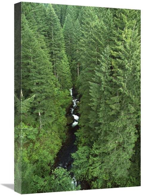 Global Gallery GCS-452995-1624-142 16 x 24 in. Oneonta Creek, Colu
