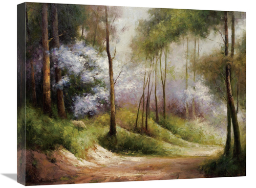 Global Gallery GCS-132487-2024-142 20 x 24 in. Fog Embraced Forest Art