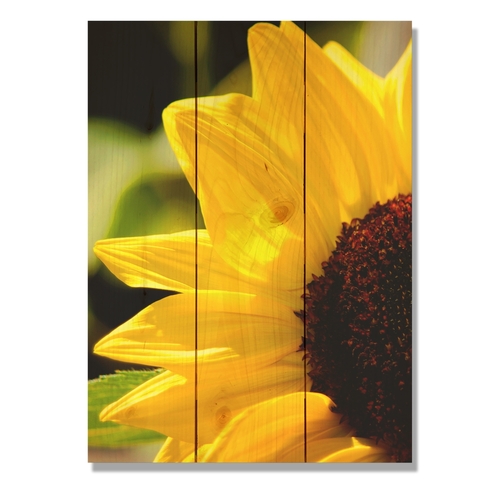 Day Dream WGYS1115 11 x 15 in. Yellow Sunflower Wall Art