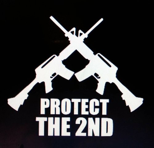 3 Inch Cloth Patch Protect The 2nd Amendment