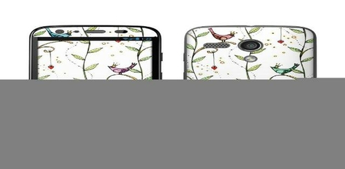 DecalGirl MOMG-ROYALBIRDS Motorola Moto G Skin - Royal Birds