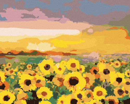 Paint by Numbers - SUNFLOWERS IN A FIELD AND THE SUNSET