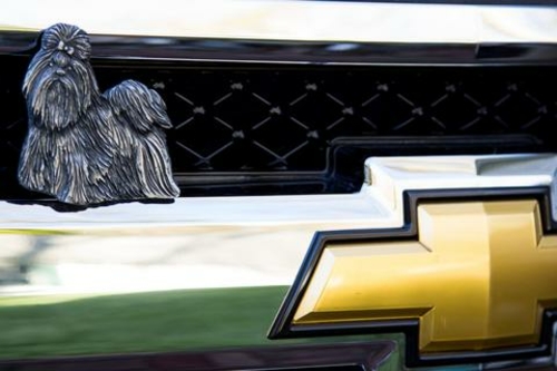 Grillie Shih Tzu-N Shih Tzu Antique Nickel Ornament, 3.5 x 3.375 i