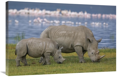 Global Gallery GCS-395345-2436-142 24 x 36 in. White Rhinoceros Mother