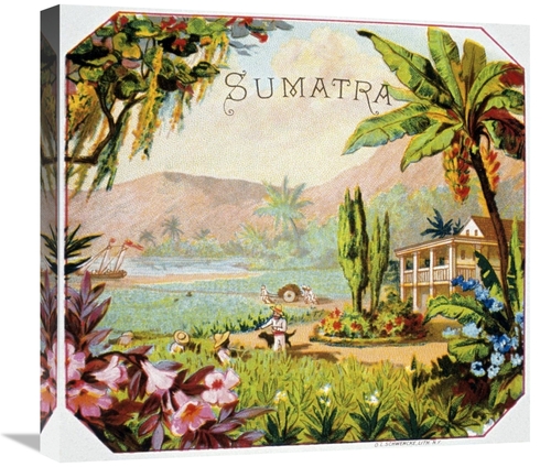 Global Gallery GCS-281139-22-142 22 in. Sumatra Art Print - Unknown