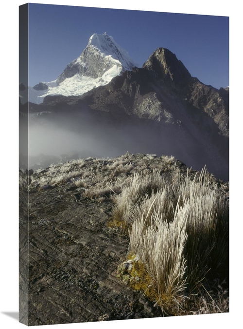 Global Gallery GCS-453523-2030-142 20 x 30 in. Frozen Grasses & Nevado