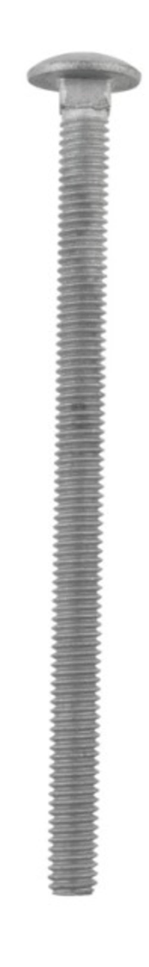 Hillman 812560 0.312 x 5 in. Hot Dipped Galvanized Carriage Screw Bolt