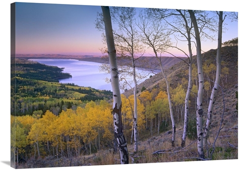 Global Gallery GCS-396936-3040-142 30 x 40 in. Aspen Forest Overlookin