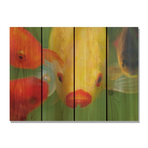 Day Dream HQ FL2216 22 x 16 in. Fish Lips Inside & Outside Cedar Wall 