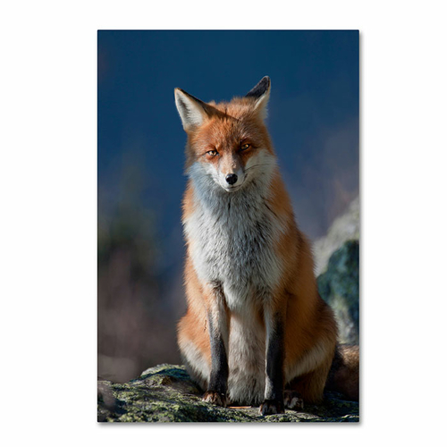 Trademark 1X00029-C1219GG 12 x 19 in. Are You My Friend Or Not Canvas 