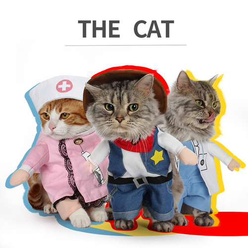 Funny Pet Cat Dog Cowboy / Doctor / Nurse Standing