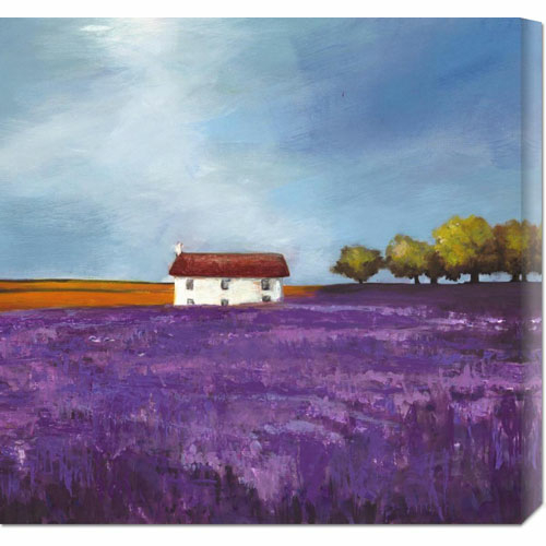 Philip Bloom 'Field of Lavender (Right Detail)' Stretched Ca