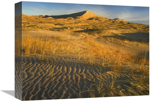Global Gallery GCS-396577-1216-142 12 x 16 in. Kelso Dunes & Grasses&#