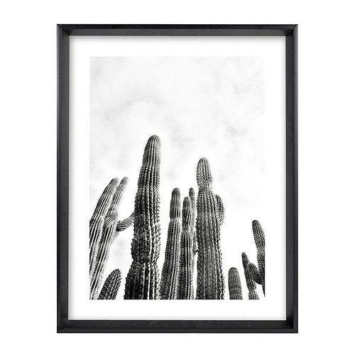 Cactus Framed Art With PVC Cover 65x50x4cm