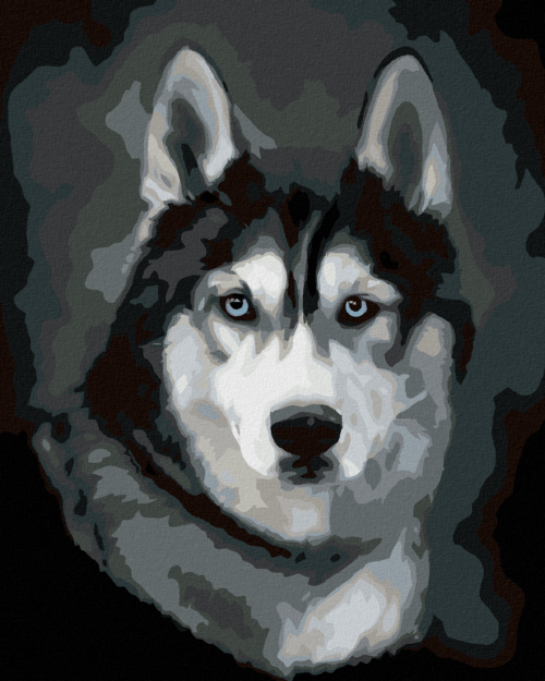 Paint by Numbers - HUSKY PORTRAIT