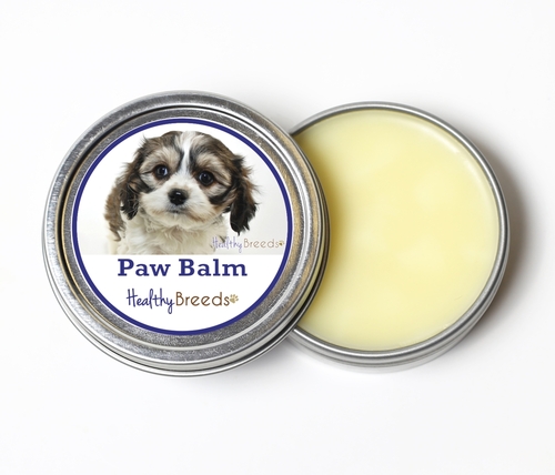 Healthy Breeds 840235193302 2 oz Cavachon Dog Paw Balm