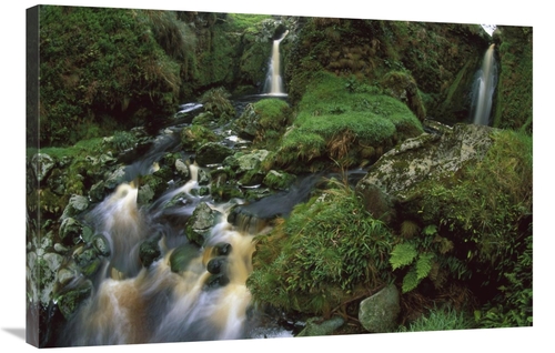 Global Gallery GCS-451819-2436-142 24 x 36 in. Waterfalls Among Ferns 