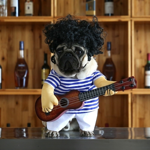 Funny Pet Guitar Player Cosplay Dog Costume