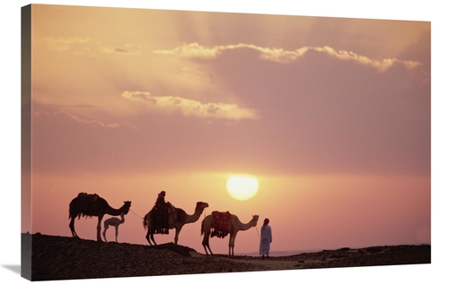 Global Gallery GCS-452938-2436-142 24 x 36 in. Dromedary Camels & Bedo