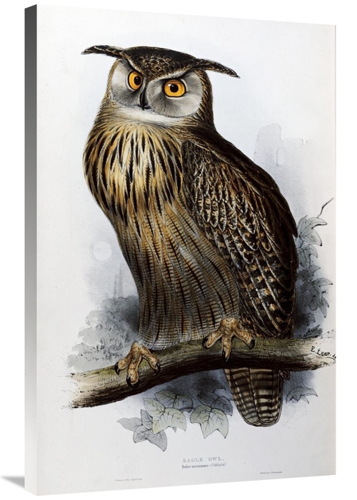 Global Gallery GCS-266416-36-142 36 in. Eagle Owl Art Print - John Gou