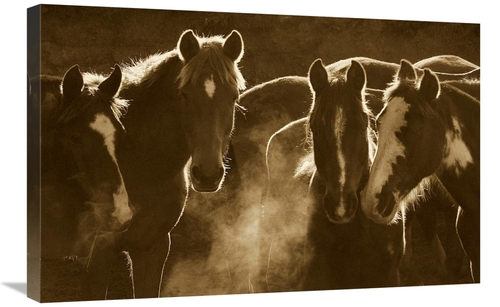 Global Gallery GCS-453720-2030-142 20 x 30 in. Horse Herd At Annual Ro