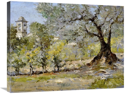 Global Gallery GCS-267845-30-142 30 in. Olive Trees in Florence Art Pr