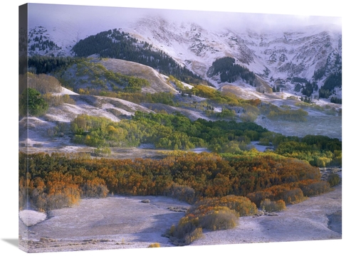Global Gallery GCS-396192-2432-142 24 x 32 in. Elk Mountains with Dust