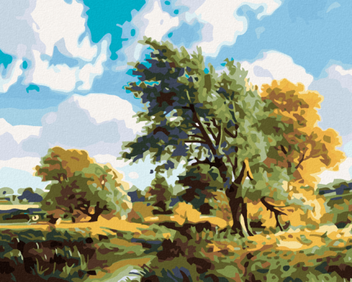 Paint by Numbers - BEAUTIFUL TWO-COLOURED CAT