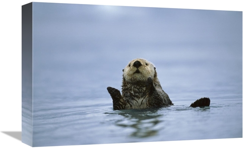 Global Gallery GCS-395807-1218-142 12 x 18 in. Sea Otter, Prince W