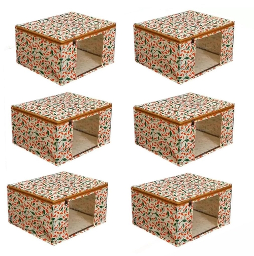 Non-Woven Printed Saree Cover/Cloth Storage/Organizer with Transparent