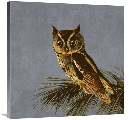 Global Gallery GCS-394162-3030-142 30 x 30 in. Audubon Decor - Little 