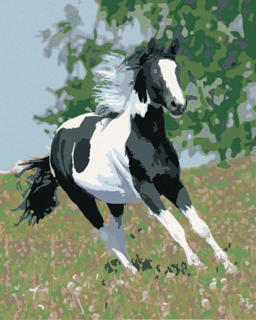 Paint by Numbers - RUNNING HORSE