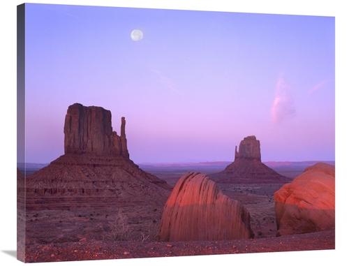 Global Gallery GCS-397001-2835-142 28 x 35 in. East & West Mittens,