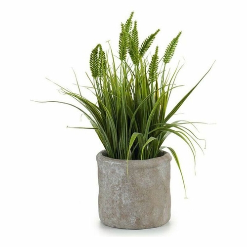 Decorative Plant 8430852208088 Brown Green 12 x 30 x 12 cm