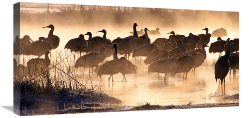 Global Gallery GCS-486422-30-142 30 in. Twilight Gathering Art Print -