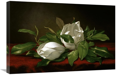 Global Gallery GCS-282179-30-142 30 in. Magnolia Art Print - Martin Jo